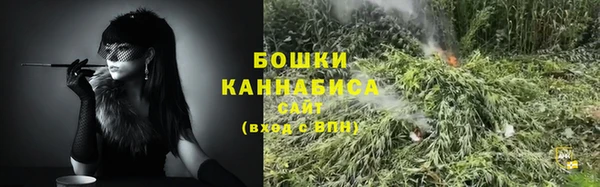 соль ск Белокуриха
