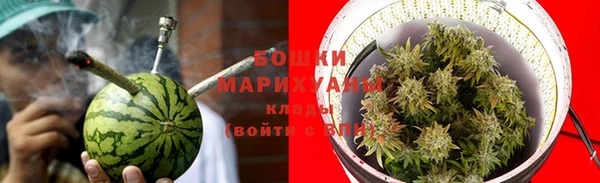 дживик Баксан