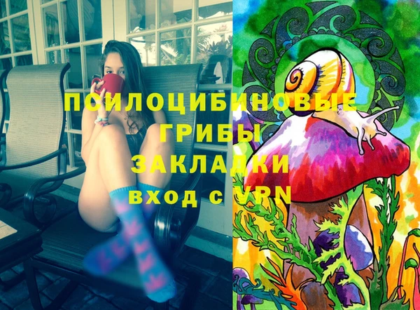 дживик Баксан