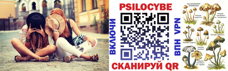 дарнет шоп Наро-Фоминск блэк спрут рабочий сайт Псилоцибиновые грибы Psilocybe